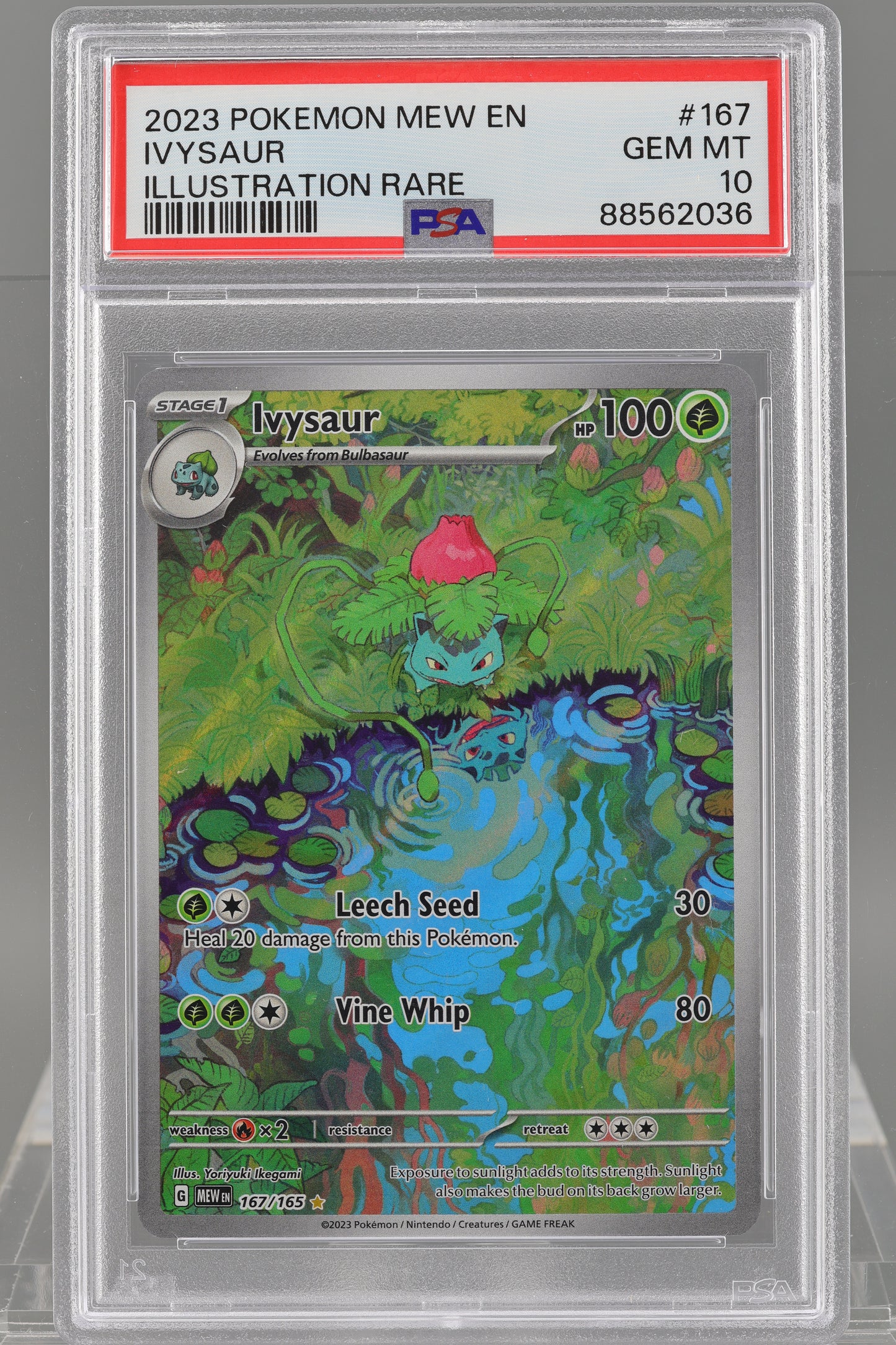 Ivysaur 2023 Pokemon Scarlet & Violet 151 MEW EN #167 PSA 10 Illustration Rare