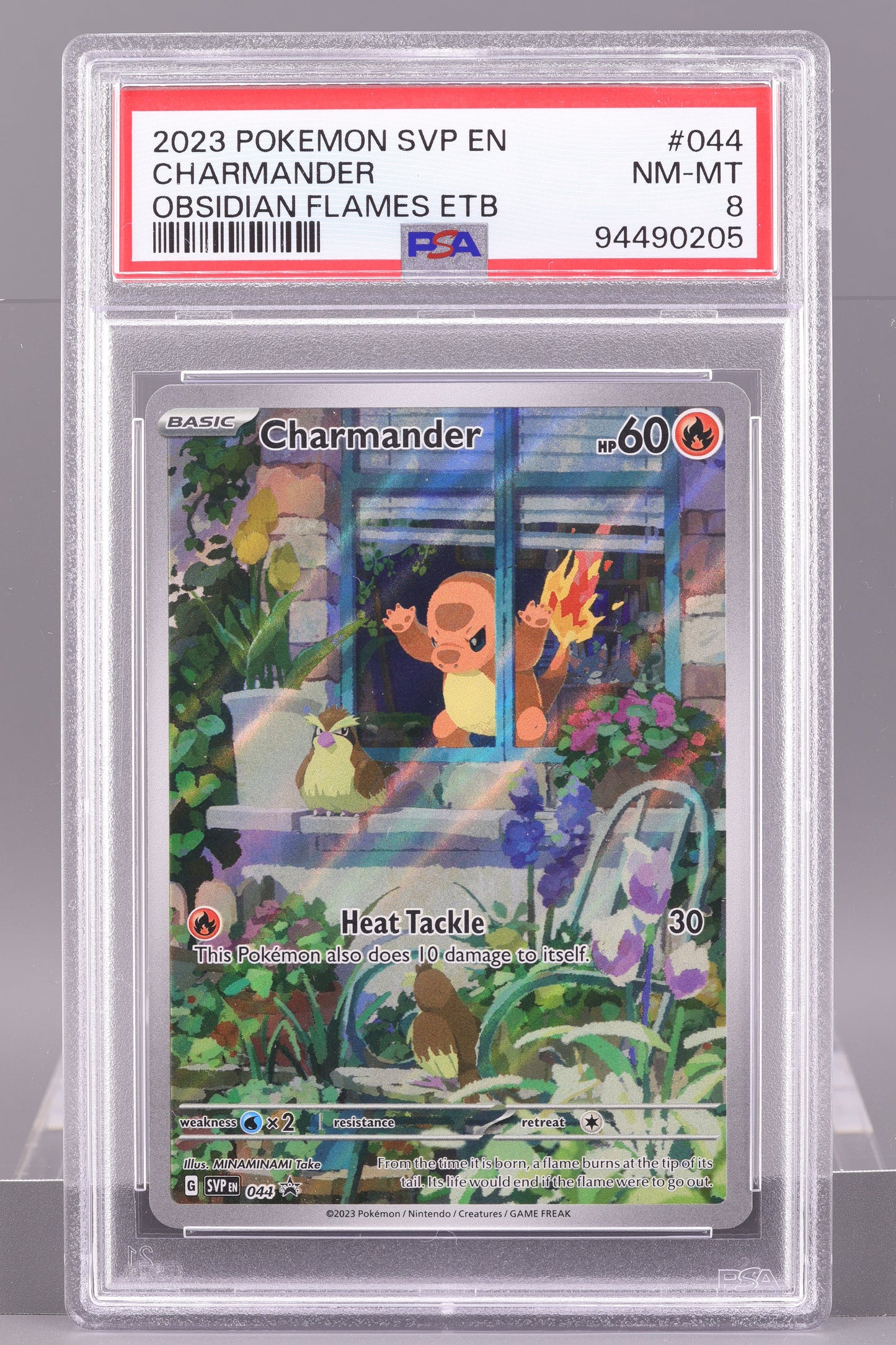 Charmander 2023 Obsidian Flames ETB  #44    PSA 8   Black Star Promo