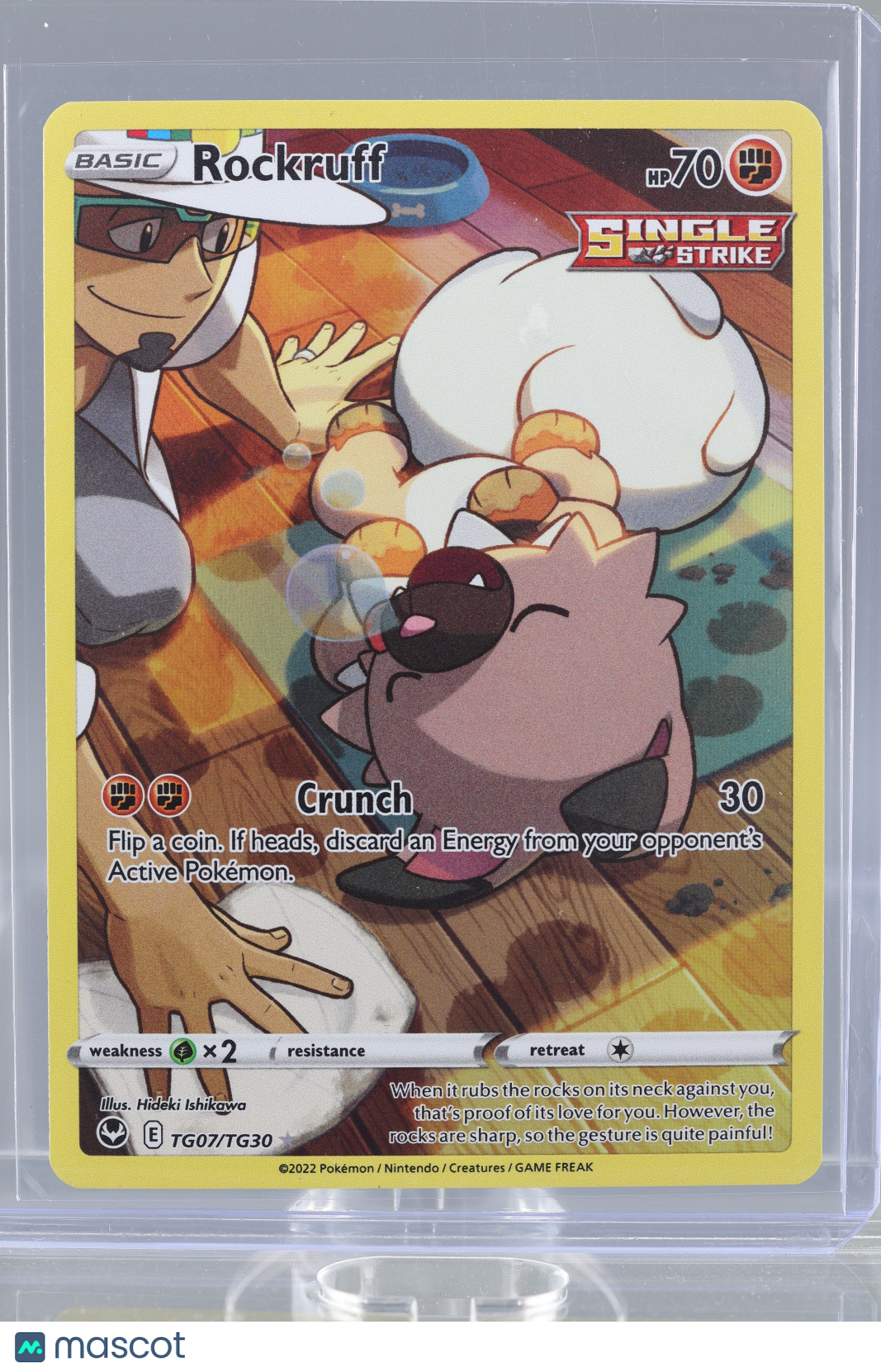 Rockruff 2022 Pokemon TCG Silver Tempest #TG07